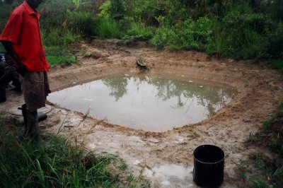 Fry holding pond.JPG