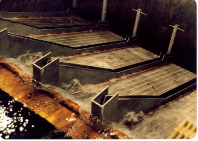 Screens remove fish and stabilize gas before entering hatchery.jpg