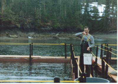 feeding the fish in the net pens.jpg