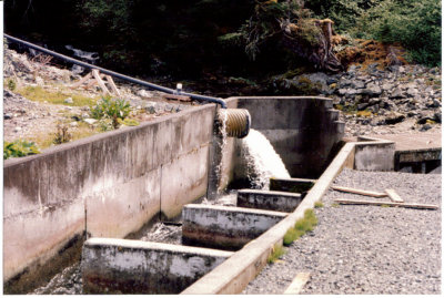 fish ladder.jpg