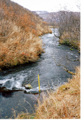 Water intake area.jpg