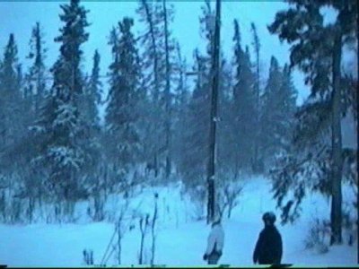 Find the moose.