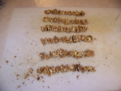 Stringing the Nuts With Cotton Thread and a Rug Needle