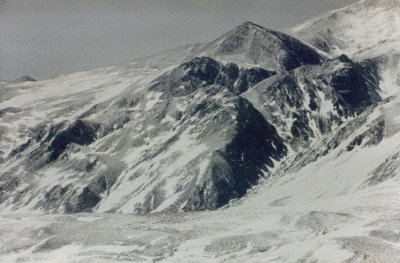 Color photo of a black and white world in Denali.jpg