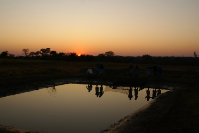 Dawn Harvest