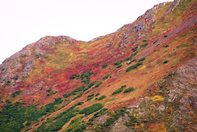 The Tundra and Taiga in Autumn Colors
