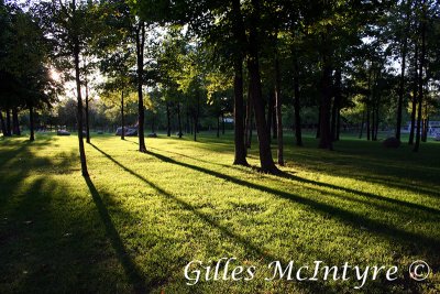 Shadows and Lights / ombres et  lumieres .jpg