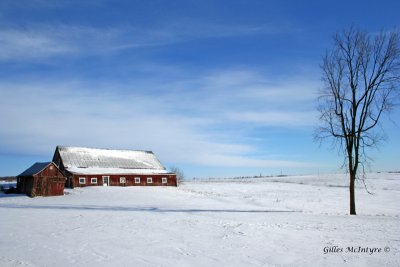 Winter scene at Mirabel / Hiver Mirabel.jpg