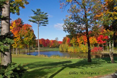 Autumn on the golf course / Automne sur le terrain de golf.jpg