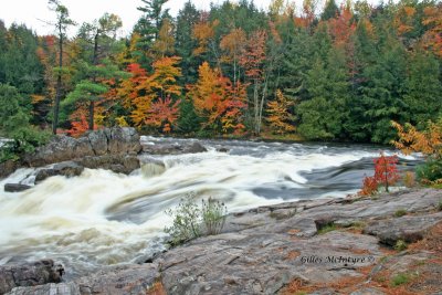 River at Rawdon Falls/ Rivire prs des Chutes Darwin  Rawdon.jpg
