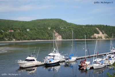 View on the Bay / Vue sur la Baie.jpg