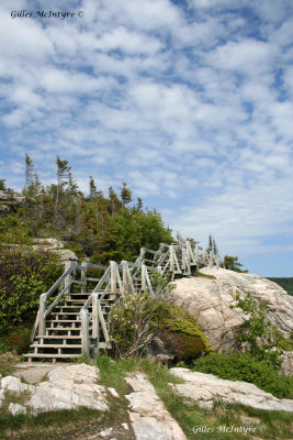 Path / Sentier.jpg