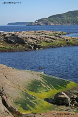 Other view of the point of Islet / Autre vue de la pointe de l'islet.jpg