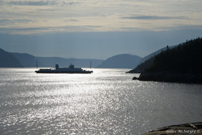 Cross bar St-Catherine Bay towards Tadoussac / Traverse Baie Ste-Catherine-Tadoussac.jpg