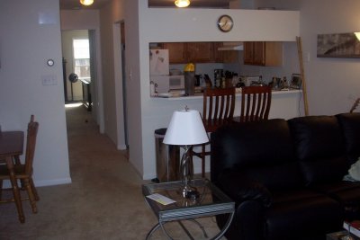 Living room and kitchen