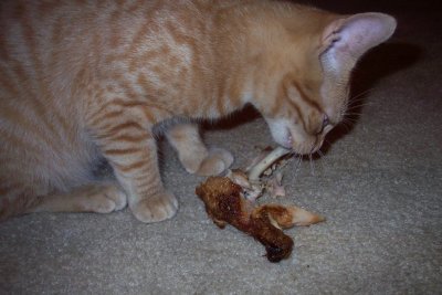 Murder