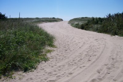 Dune trail