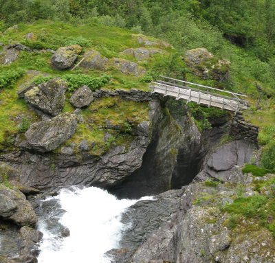Bridlebrui