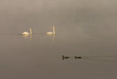 Early Monring Delaware River