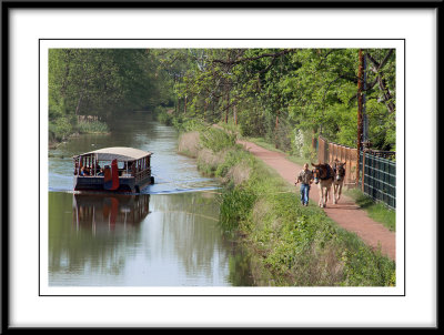 Barge Ride on the Canal