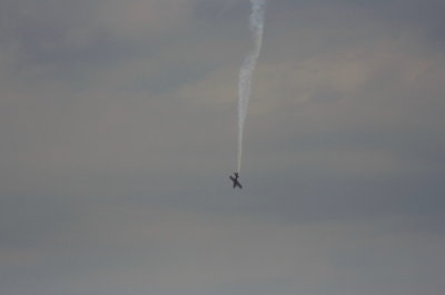 ZF0205.JPG