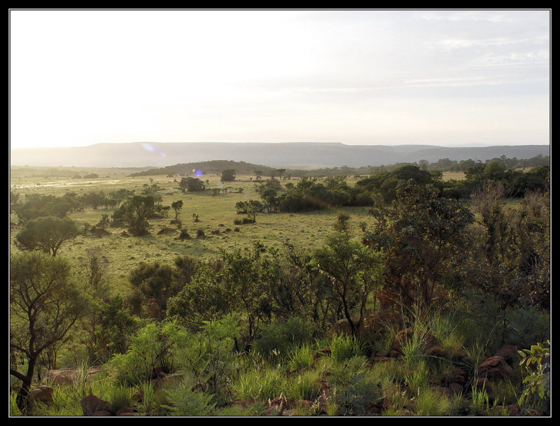  Bronkhorstspruit Gamefarm