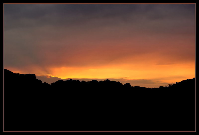 Bushveld Sunrise
