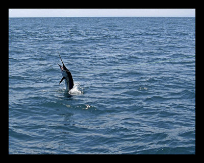 Kenya fishing  (7).JPG