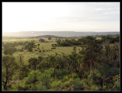  Bronkhorstspruit Gamefarm