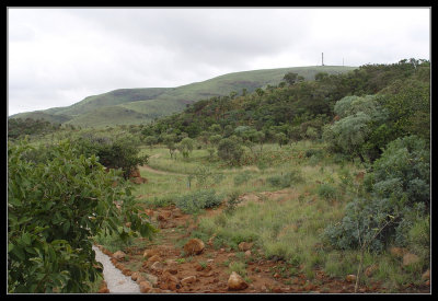  Bronkhorstspruit Gamefarm