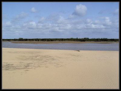 Mapelane Fishing