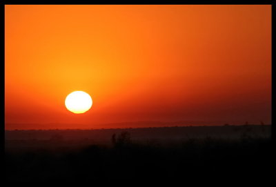 Sunrise in Bushveld