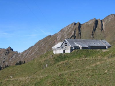 IMG_1263.jpg