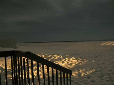 Gulf Shores-5.jpg