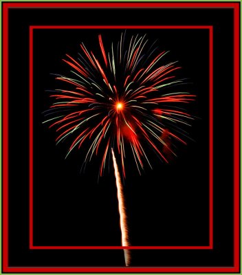 DSC_0044flower fireworks.jpg