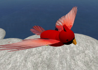 Cardinal14 prim, alpha wings
