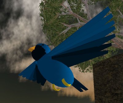 bluejay, w 23 prim wings