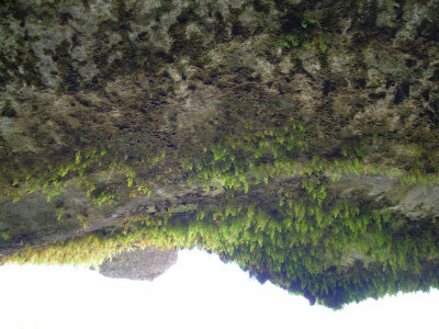 DSCN0124.jpg