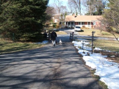 In the middle of it, Don took the dogs out for a walk!