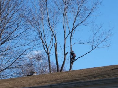 The view over the house again
