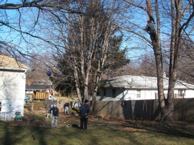 They took out a piece of the fence to walk the brush thru to the street and to reach the neighbor's yard