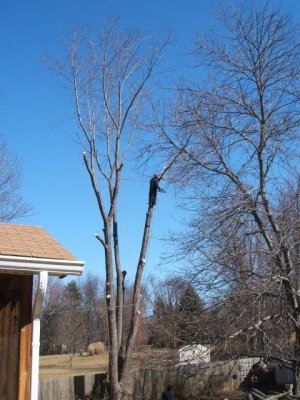 But they reduced the wind drag, so they didn't swing in the wind as much