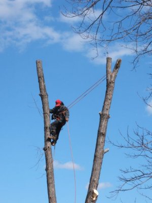 climbing!