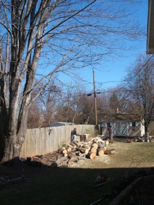 Side yard after photo in the back yard!