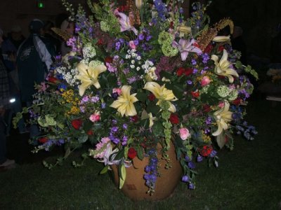 Look at the colors and the masses of blooms!