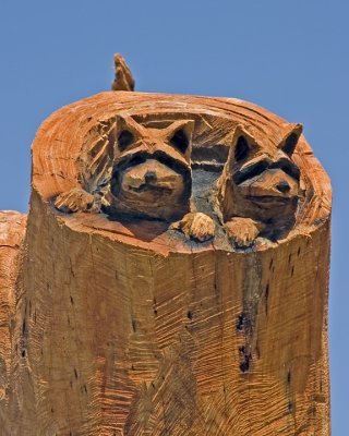Two Coons