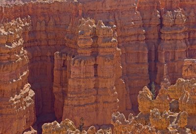 Bryce-4816