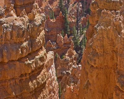 Bryce-4819