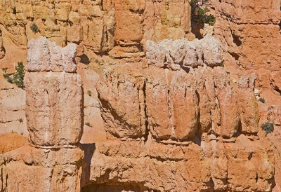 Bryce-4831