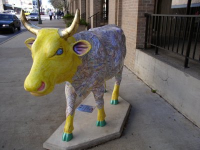 PC211406-cow-iv85.jpg